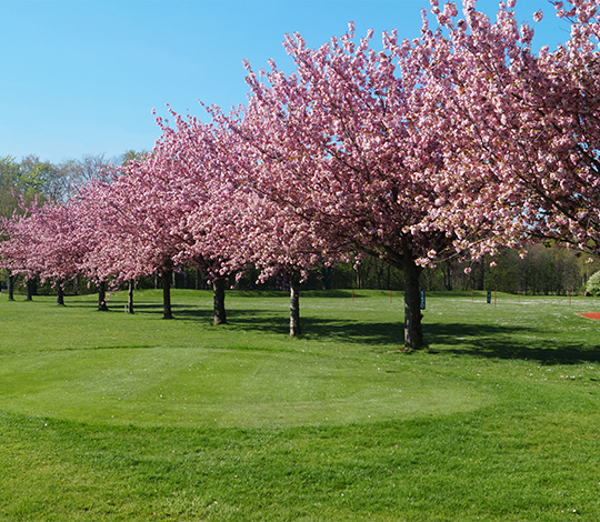 golfclub-wasserburg-anholt_teaser_01